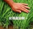 配资平台排名一览表 闭眼买这6类基金? 你可能在当韭菜