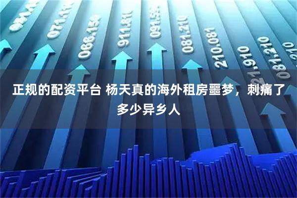正规的配资平台 杨天真的海外租房噩梦，刺痛了多少异乡人